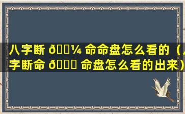 八字断 🌼 命命盘怎么看的（八字断命 🐒 命盘怎么看的出来）